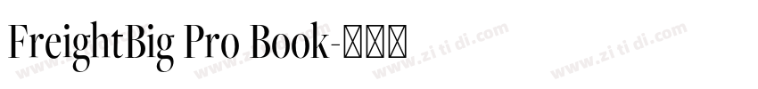FreightBig Pro Book字体转换
